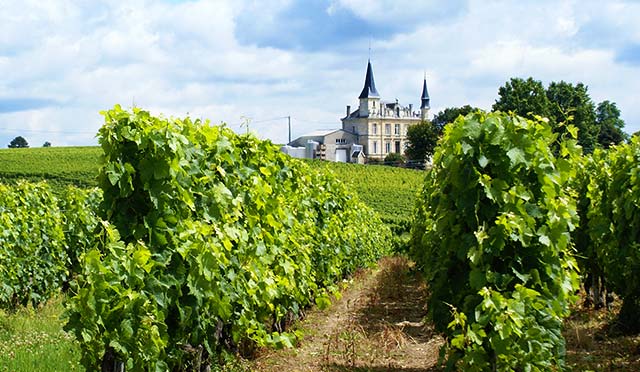 Circuit touristique Bordeaux Bordelais et la Gironde | Taxi Radio Star.